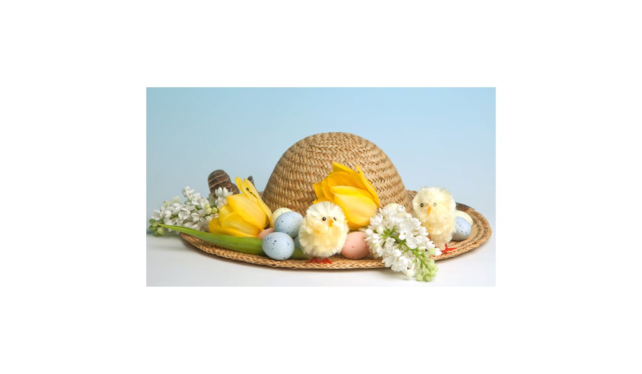 Easter Bonnet