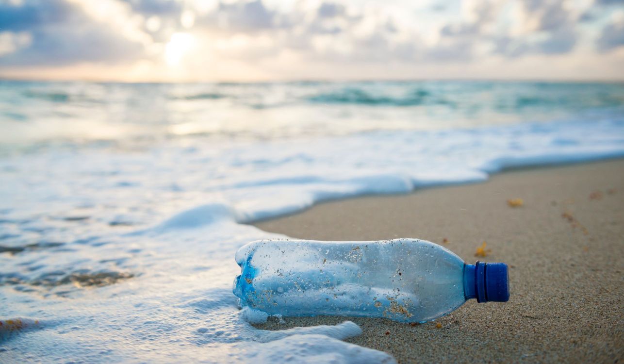 Water bottle washed up on a beach