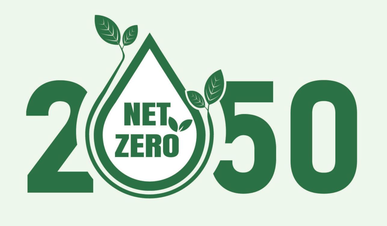 net zero 2050