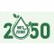 net zero 2050