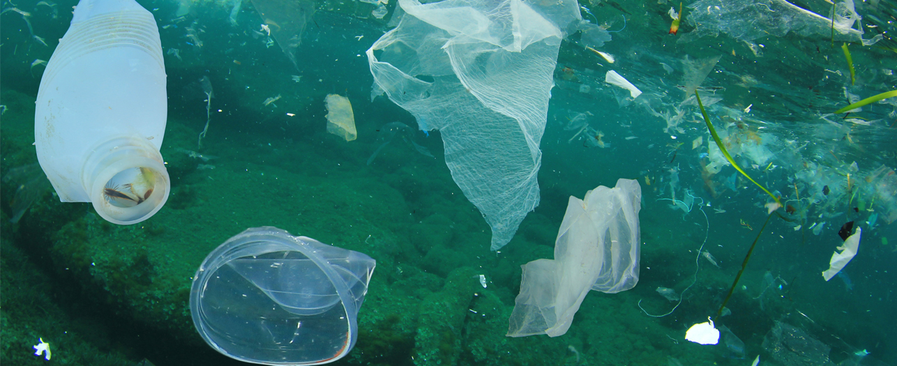 Plastic ocean