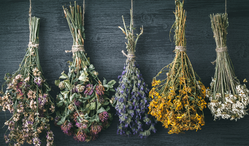 Drying flowers