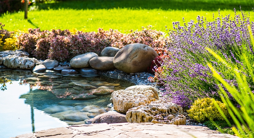 July Garden