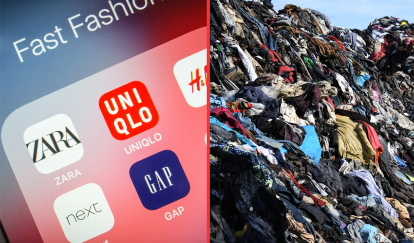Fast Fashion